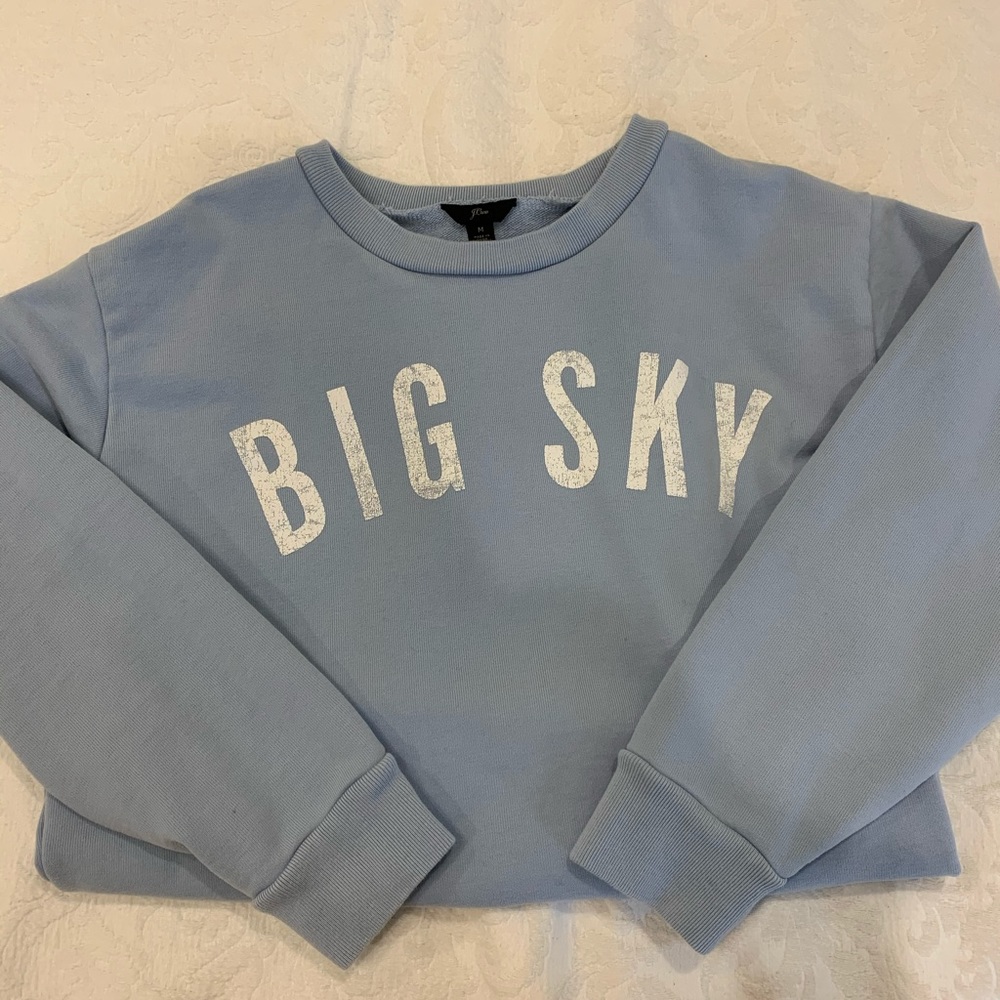 jcrew blue sweatshirt